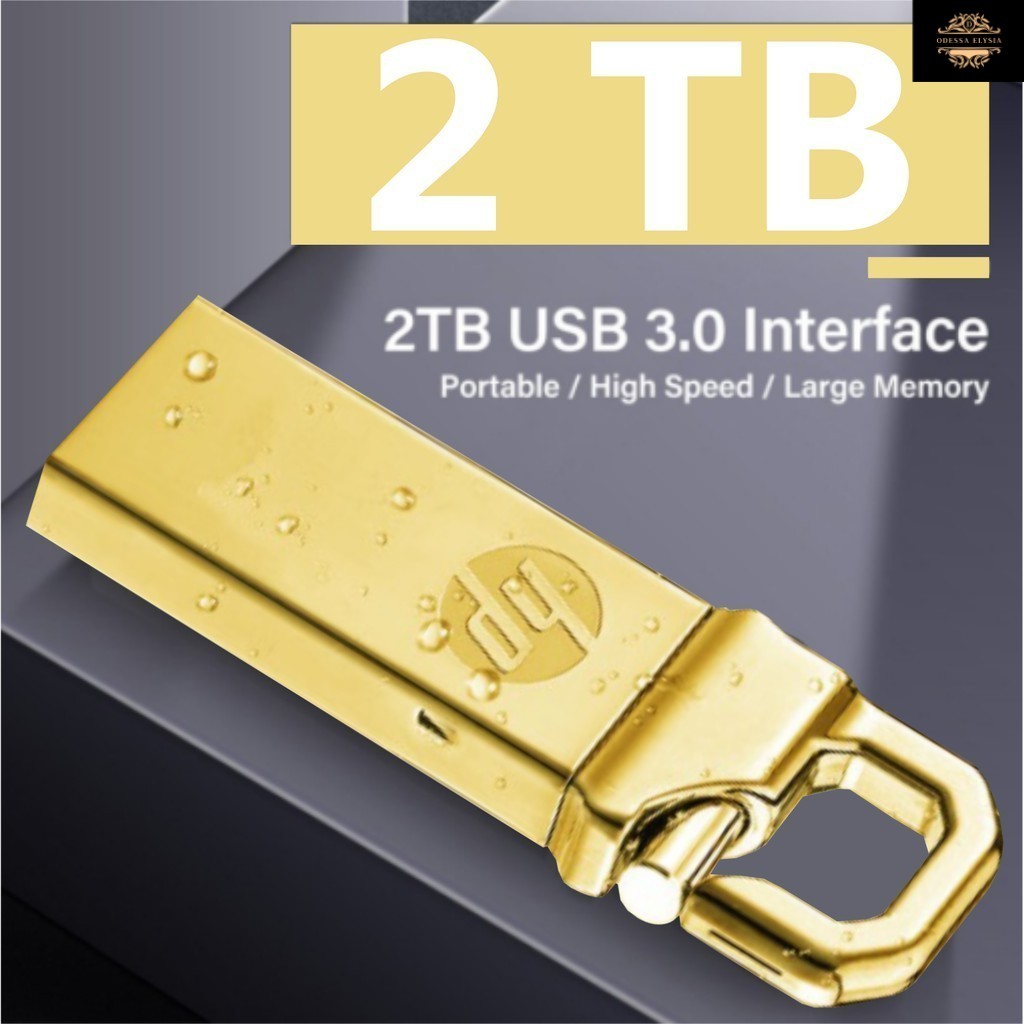 FLASHDISK HP 2TB GOLD USB FD FLASH DISK