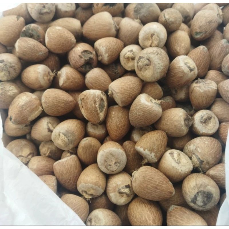 Promo buah pinang kering utuh bulat 1kg Fresh