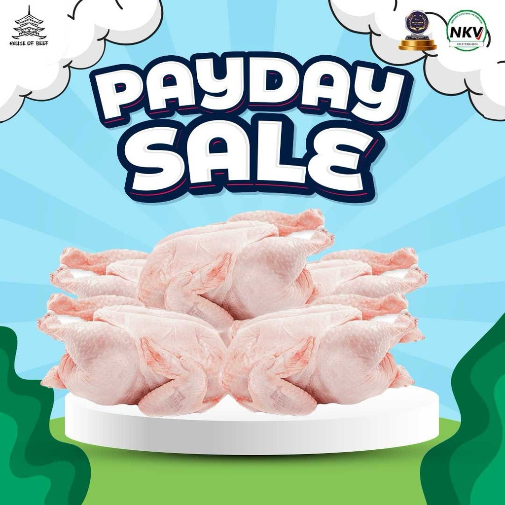 

[FREE ONGKIR JAKARTA DI WEB] AYAM 5 EKOR
