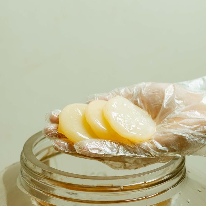 

Hakko Scoby kombucha | Kultur Scoby Kombucha - Besar