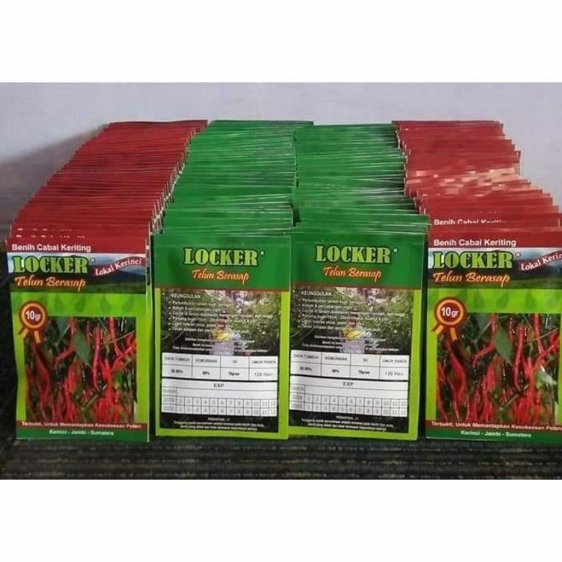 cabe locker lokal unggul kerinci jambi original
