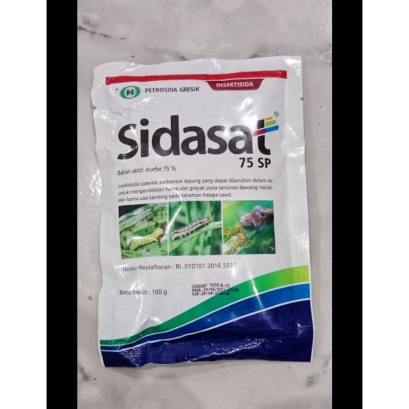 insektisida SIDASAT 100gr/ asefat 75 sp