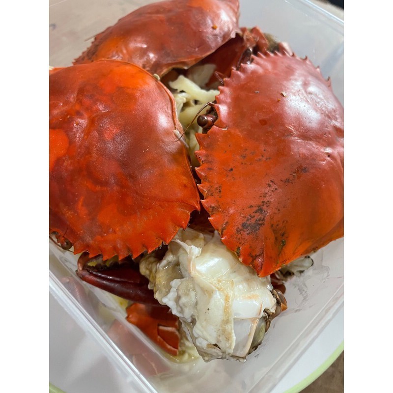 

Kepiting Kukus Jahe, Gurih dan Segar