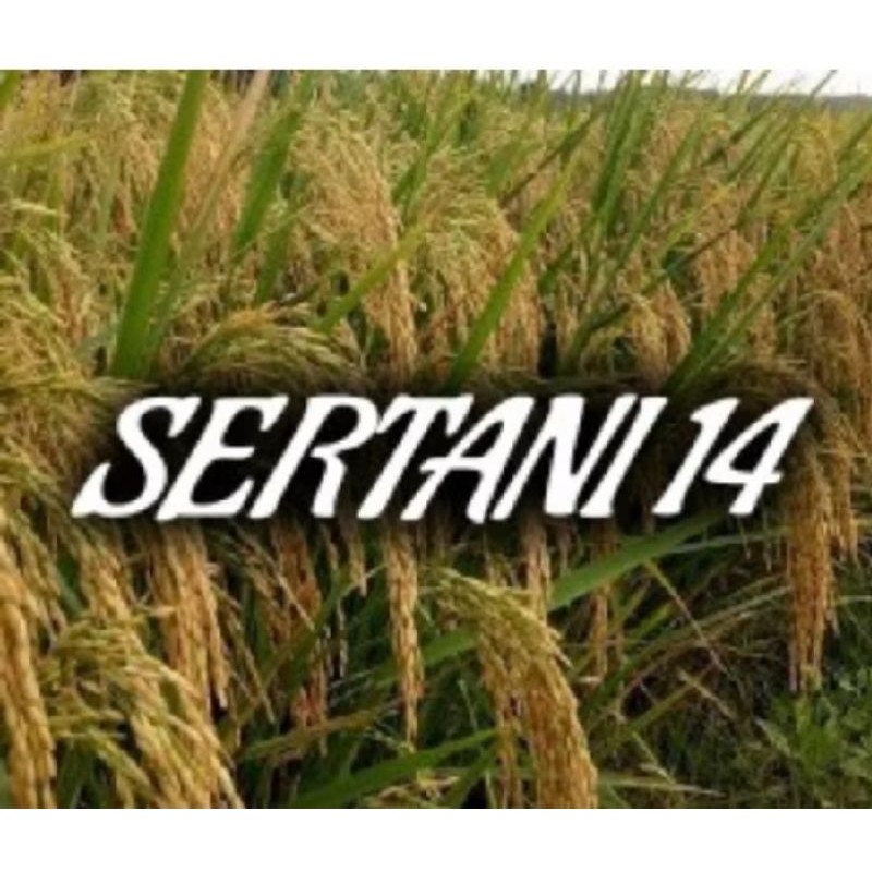 padi sertani 14 kemasan 5 kg
