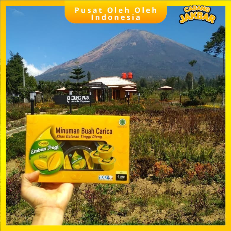 Carica Buah Manisan Segar Isi 6 Cup Pepaya Dieng Merk Embun Pagi Oleh Oleh Khas Wonosobo Kemasan Box
