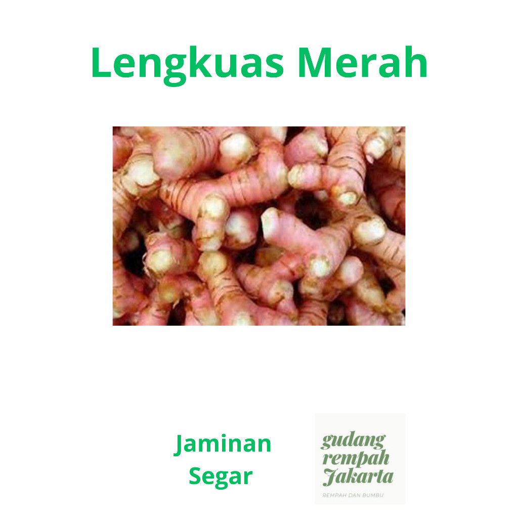 

LENGKUAS MERAH FRESH 500 GRAM