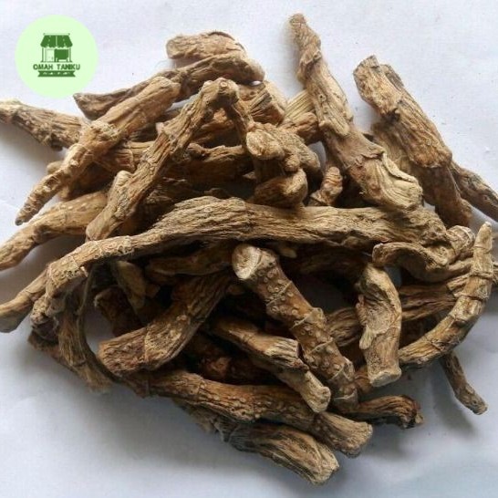 

kelembak kering 100 gram