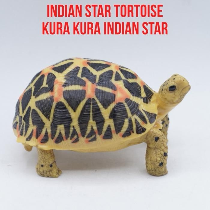 Indian Star Giant Tortoise Kura Kura Darat Raksasa Geochelone elegans Mainan Binatang Miniature Hewa