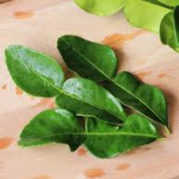 

daun jeruk purut segar bumbu masakan