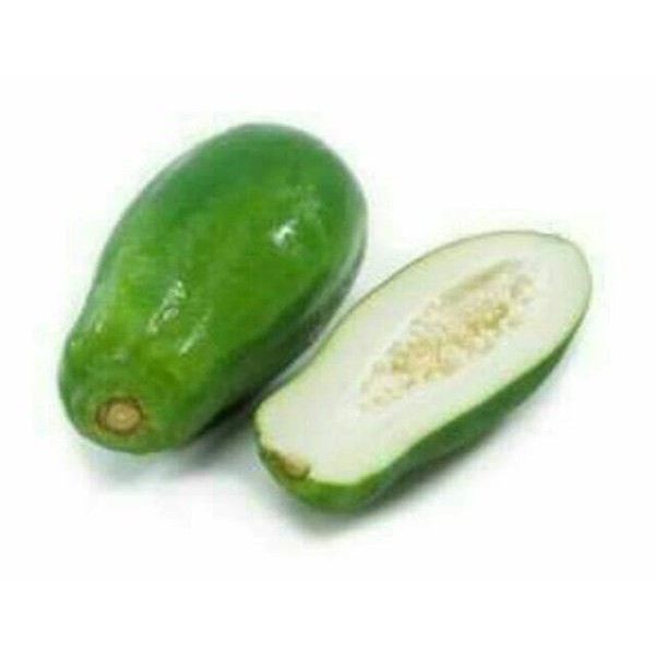 

Buah pepaya muda papaya sayur obat herbal - S Herbal