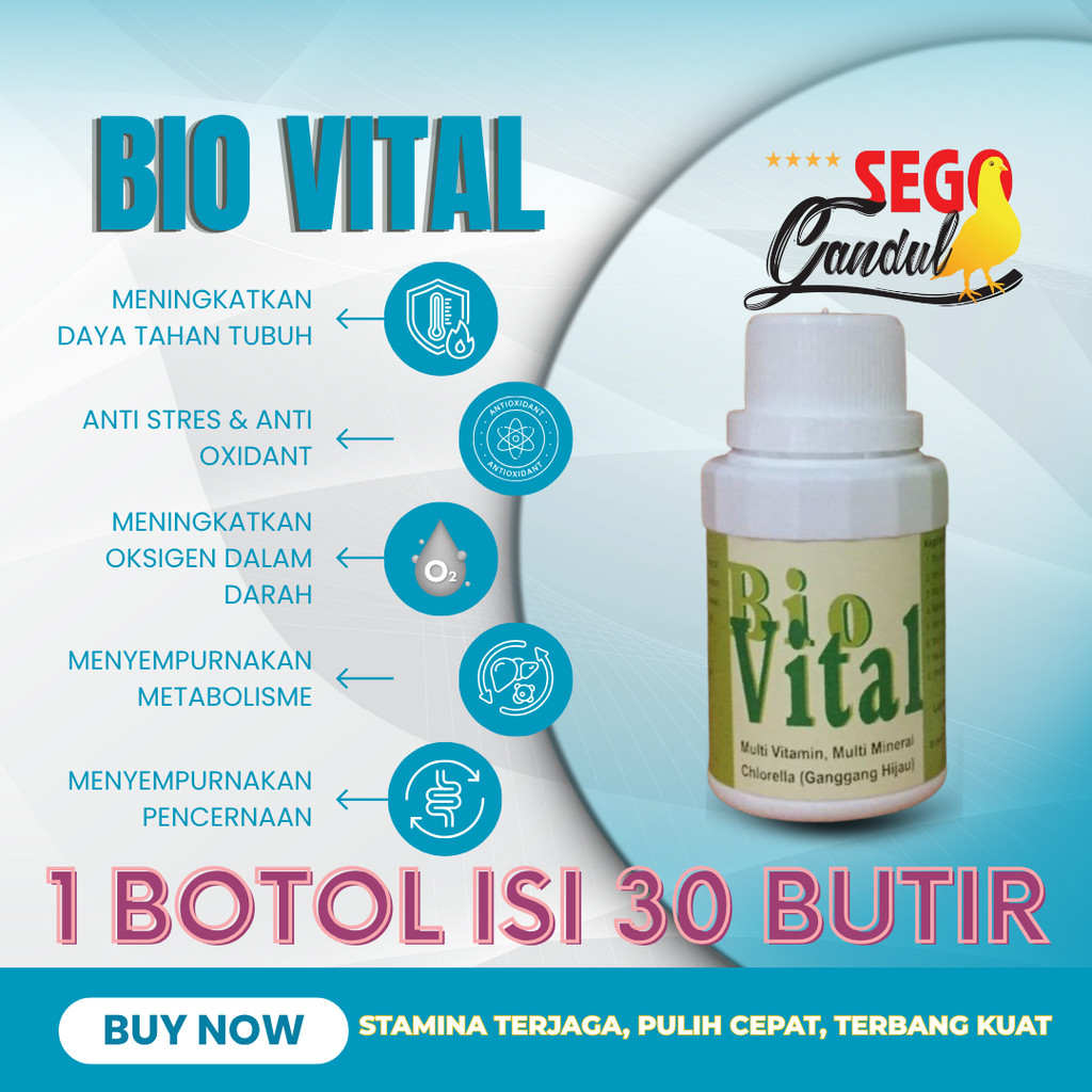 Aristol Bio Vital Biovital multi vitamin multi mineral merpati 1 botol 30 capsule
