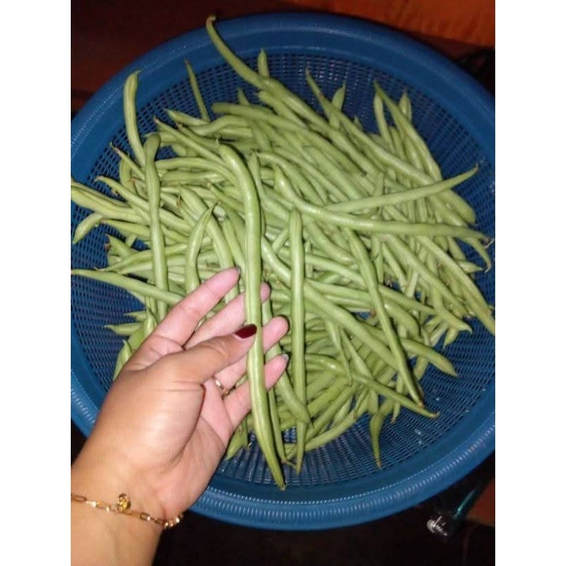 

jual sayuran buncis per 1kg R. M