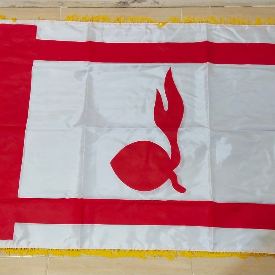 

Bendera Pramuka Tunas Kelapa