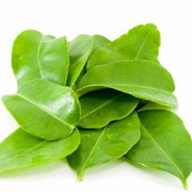 

Termurah Daun jeruk nifis nipis segar 100gram asli siap petik dan non pestisida