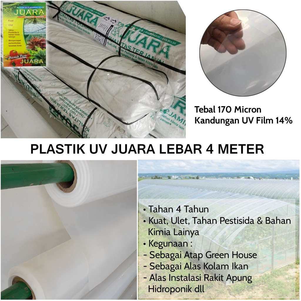 Plastik UV Lebar 4 meter Merek JUARA Atap Green House UV14% Tebal170 mikron pelastik yupi uv4
