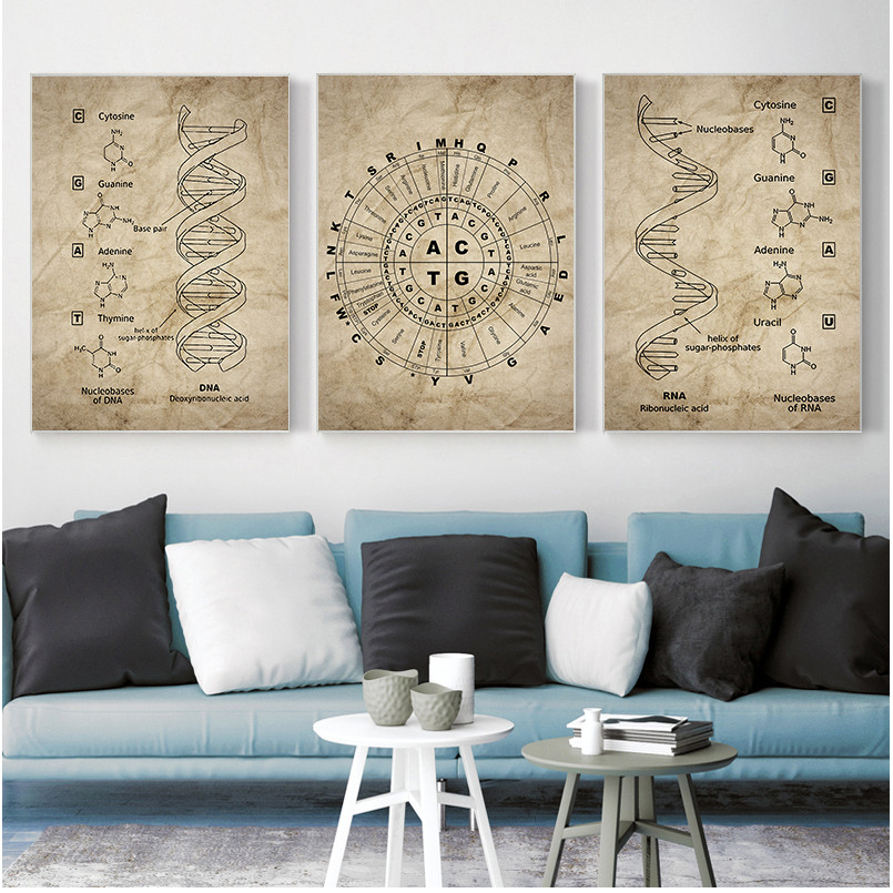 

DNA and RNA Genetic Code Wall Art Canvas Painting Prints Genetics Biochemistry Student Gift Vintage Posters Science Wall Decor