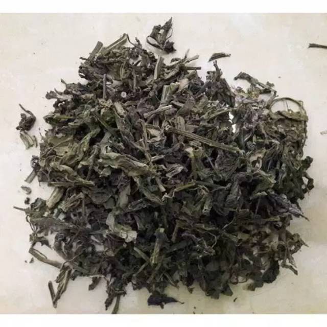 

Daun sambung nyawa kering /africa 100gram NY