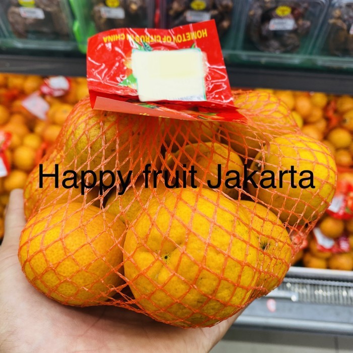 

Jeruk wokam baby | jeruk wokam jaring super 600 grm
