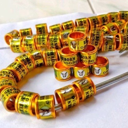 Gelang Burung mewah Ringburung tipe roda. dara.murai.perkutut.puter.ring kristal