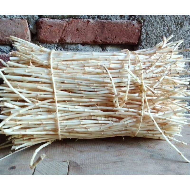 

Akar Alang Alang Segar 500g Fresh Hasil Alam YL