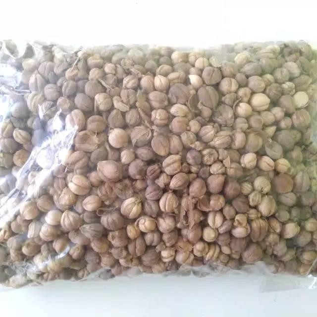 

Kapulaga Kering 100 gram Murah kualitas Oke