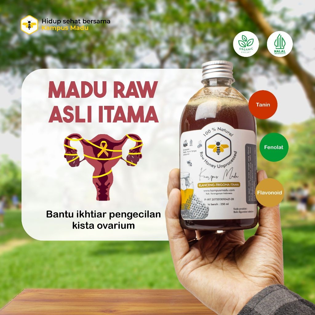 

New Madu Klanceng Itama Asli 100% Raw Honey / Madu Trigona Itama Premium untuk Kista dan Vitalitas PriaPremium