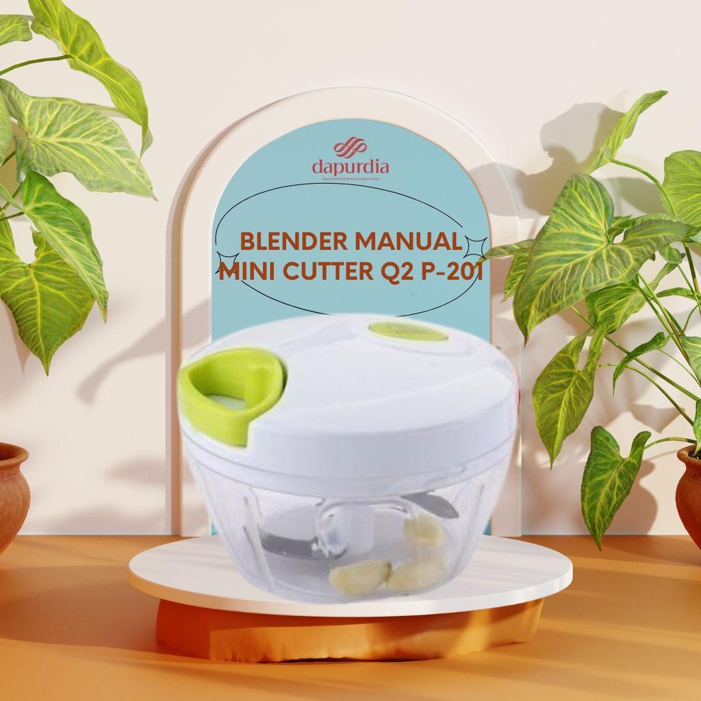 Q2 Chopper / Mini Cutter P-201 / Mini Blender / Mini Chopper - RDP