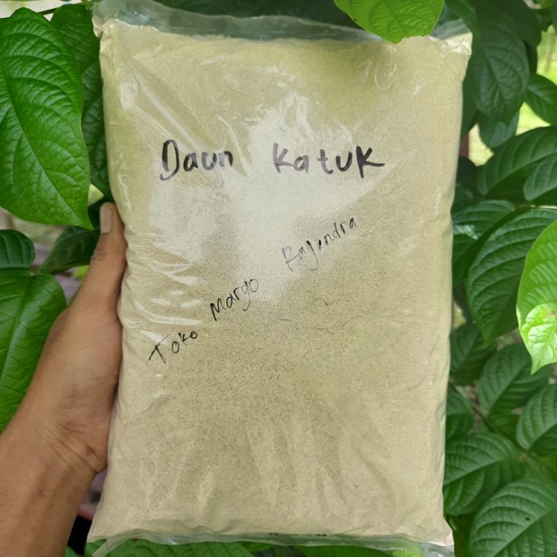 

SERBUK BUBUK DAUN KATUK