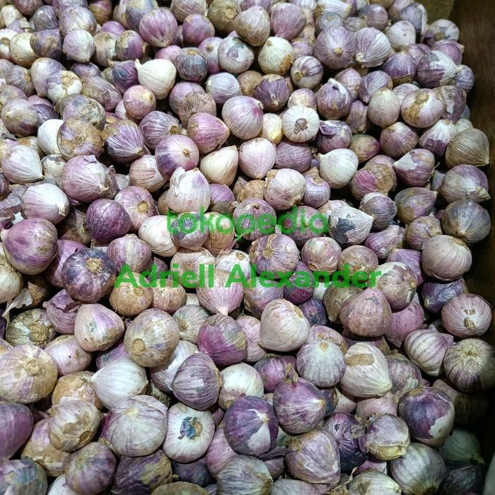 

Bawang Tunggal Lokal Ungu 500gr