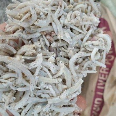 

teri medan asin mairo pasar online makassar