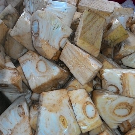 

sayur nangka mentah murah pasar online makassar