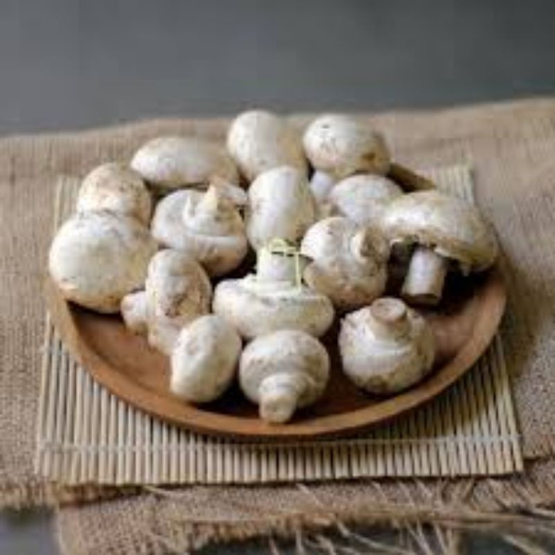 

Jamur Champignon / Kancing – Segar untuk tumisan dan sup.