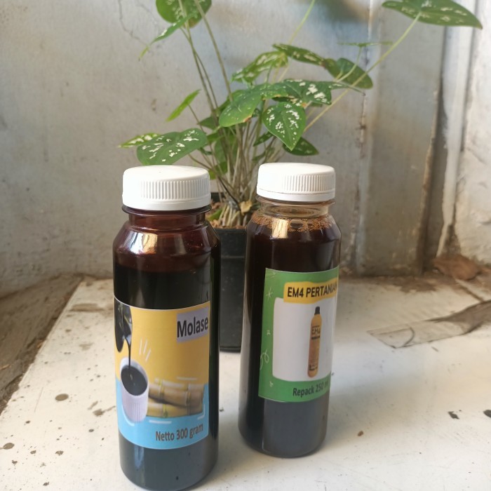 bakteri fermentasi em4 pertanian, Molase, repack, fermentasi metan