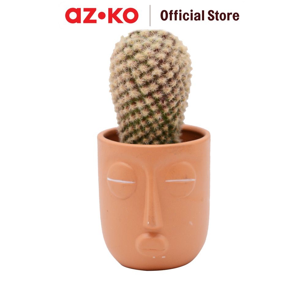 AZKO Arthome 7.6 cm Tanaman Artifisial Kaktus Dengan Pot - Hijau Tumbuhan Tanaman Buatan Dekorasi Pl