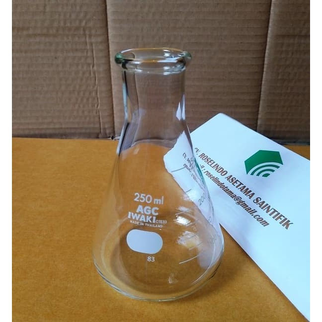 Erlenmeyer Flask 250 mL Gelas labu erlenmeyer IWAKI Original