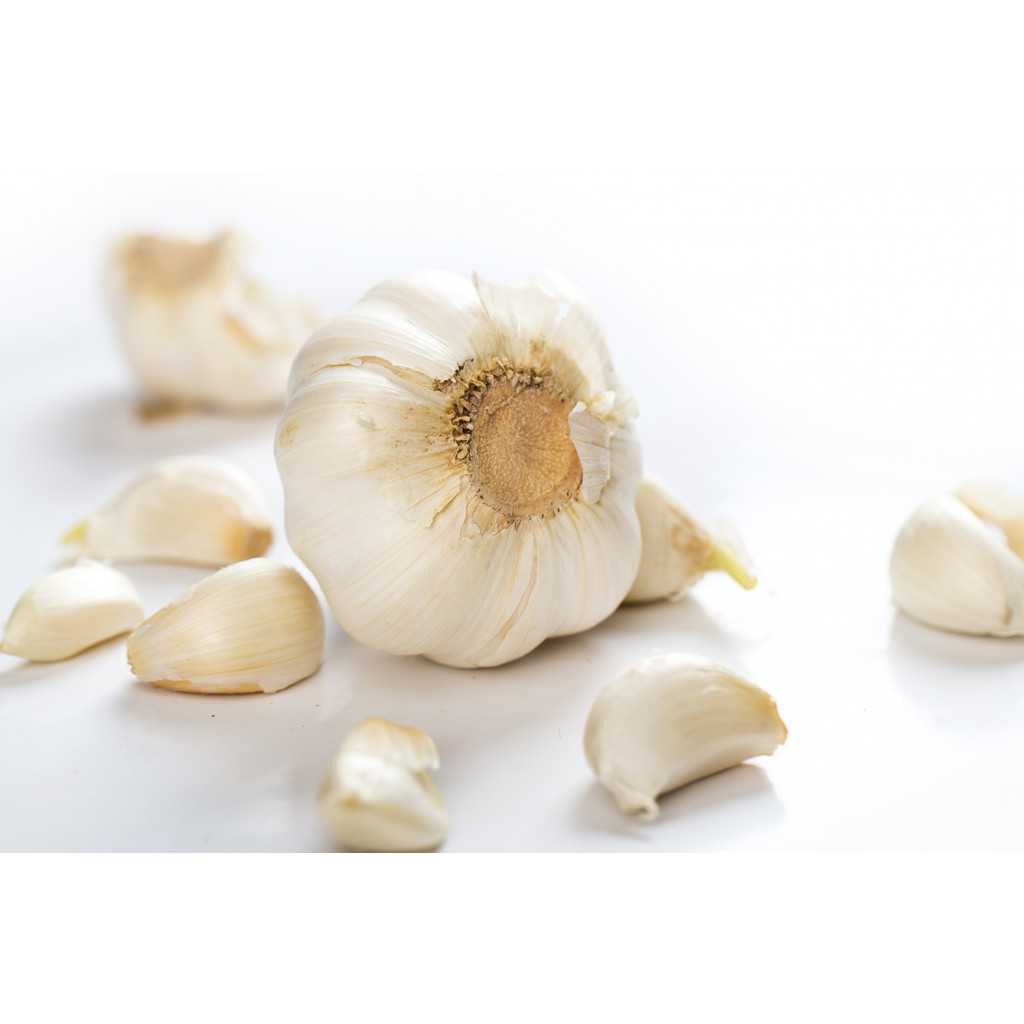 

BAWANG PUTIH SEGAR KUALITAS BAGUS 500 GRAM Vegetables88