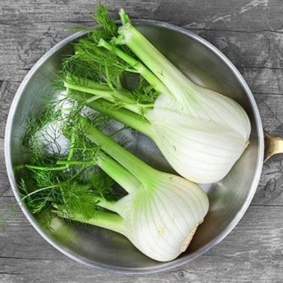 

Fennel australia fresh | fennel import australia super fresh 1 kg