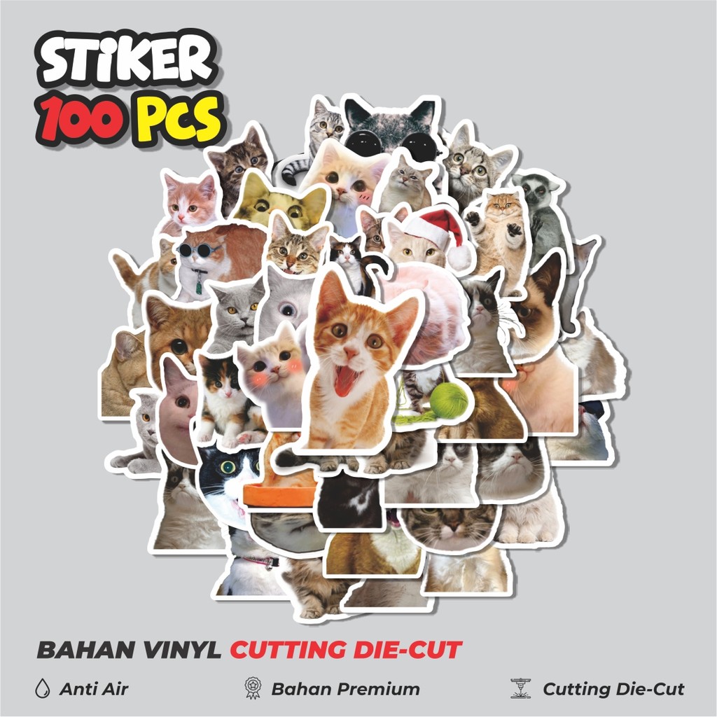 

Terbaru! 50 pcs Stiker Cat/Kucing Kawaii V5 Dekorasi Lucu Kreatif untuk Notebook, Skateboard, HP