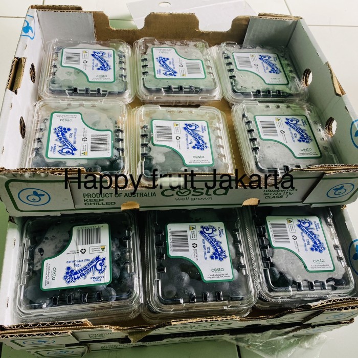 

Promo Blueberry fresh Box australia Manis | Blueberry manis Box 12pack