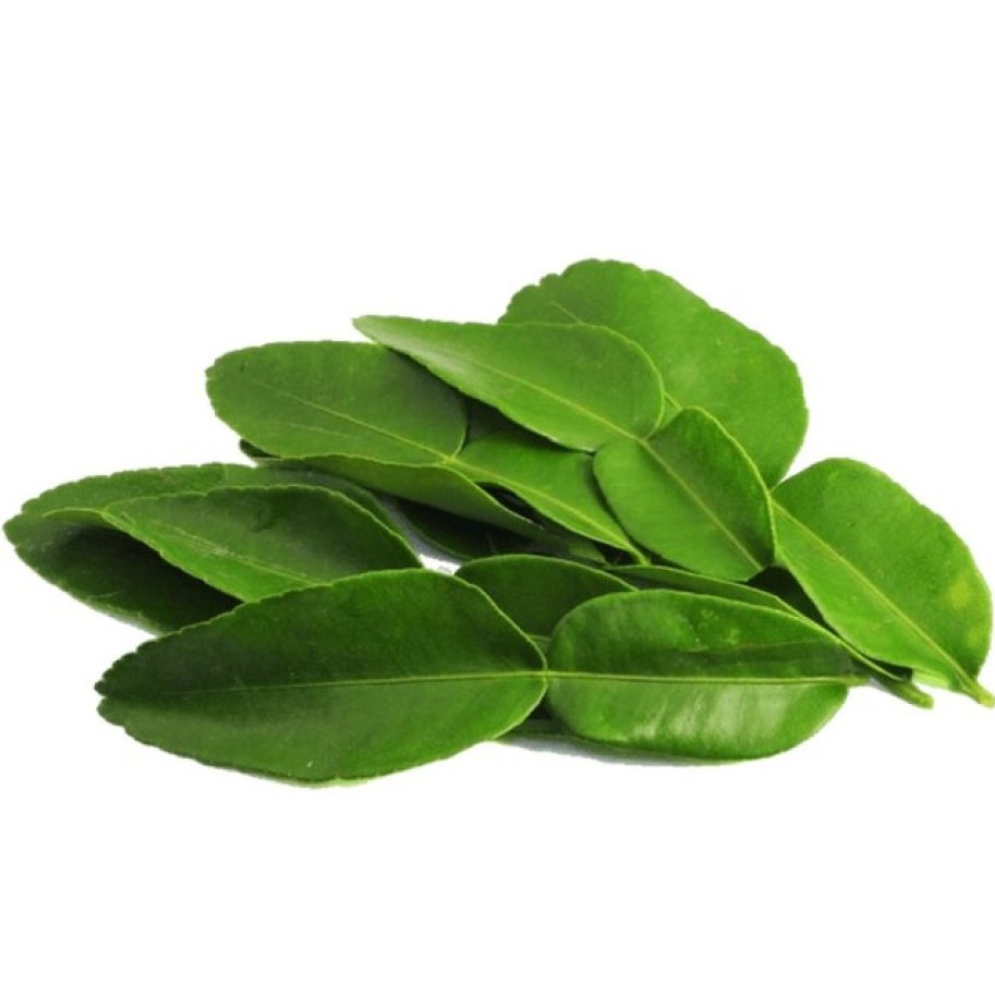 

Daun Jeruk per Pack isi sekitar 25 - 30 | Untuk pengharum masakan dan jajanan