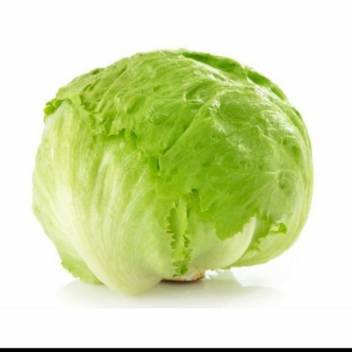 

Lettuce Iceberg Segar - 500gr hingga 1kg