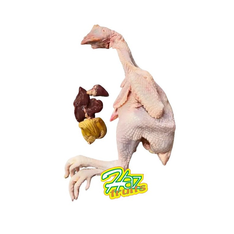 

Ayam Pejantan Utuh Frozen | Whole Chicken ±700 Gram
