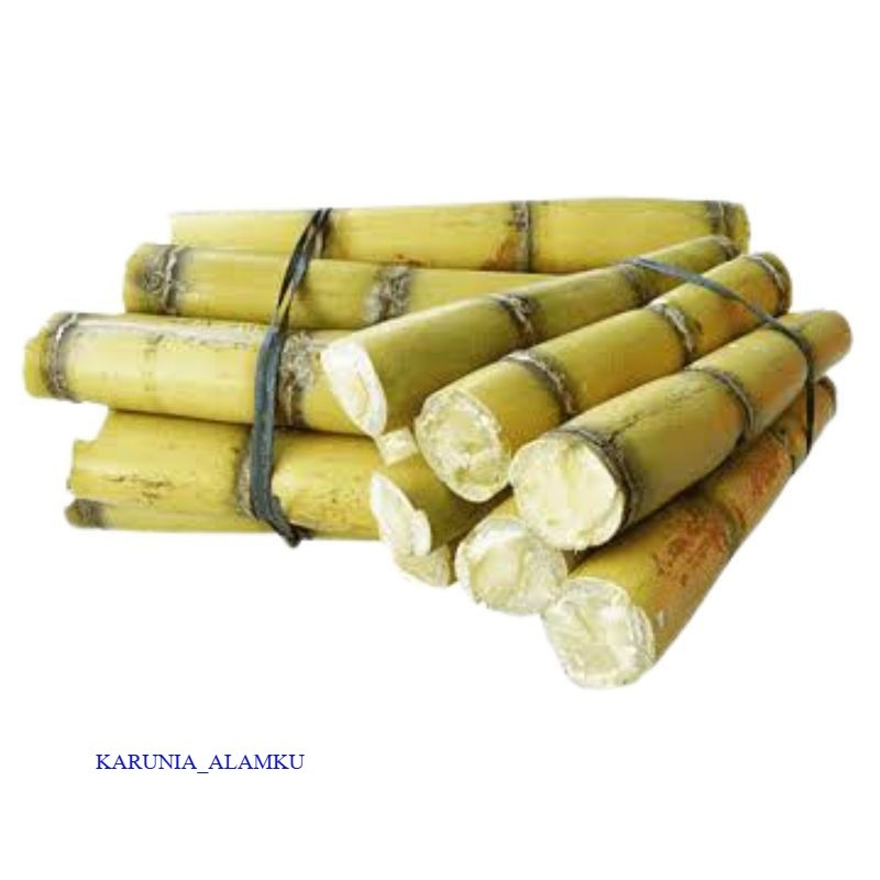 

Readyy Tebu kuning segar 1kg rasa manis