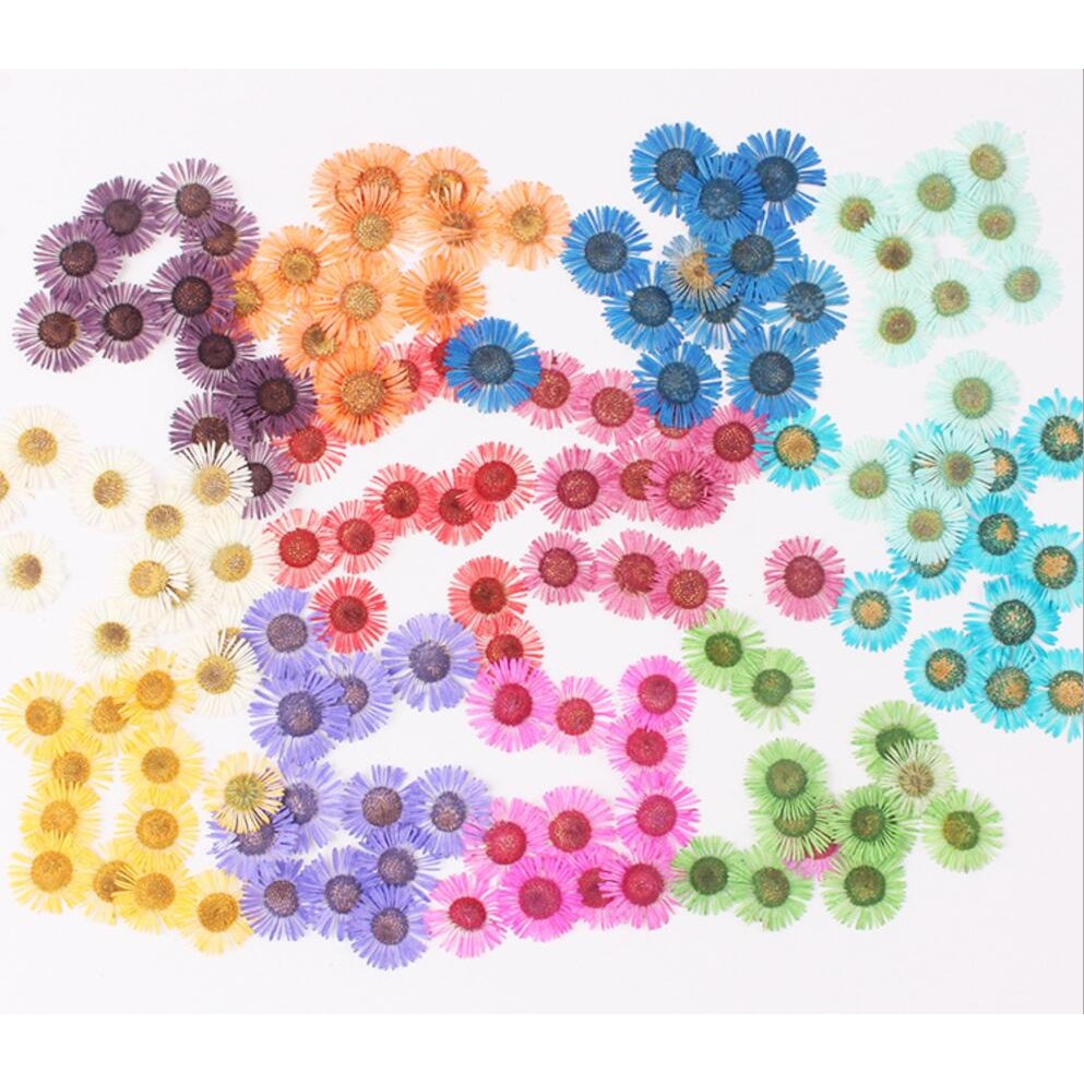 

120pcs Pressed Dried Conyza canadensis Filler Flower For Epoxy Resin Jewelry Making Postcard Frame Phone Case Craft DIY