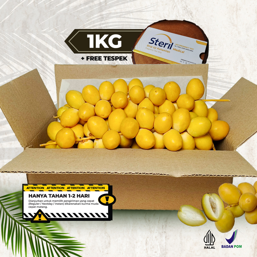 

KURMA MUDA KUNING SEGAR / KURMA MUDA PROMIL FRESH MENGKEL