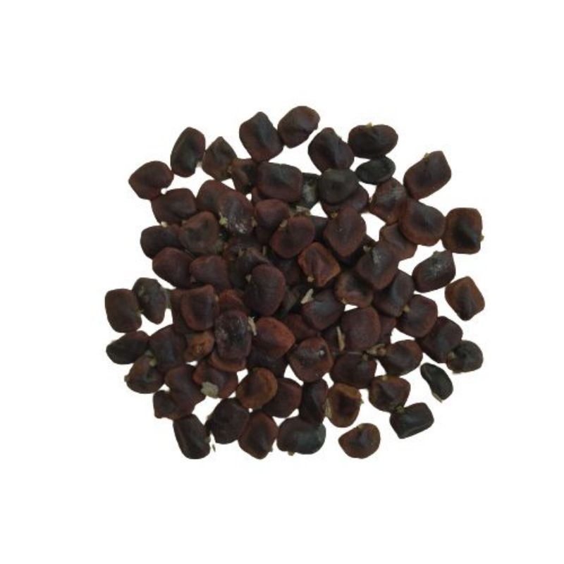 

1kg Biji Bunga Telang Buterfly pea isi 1 Kg