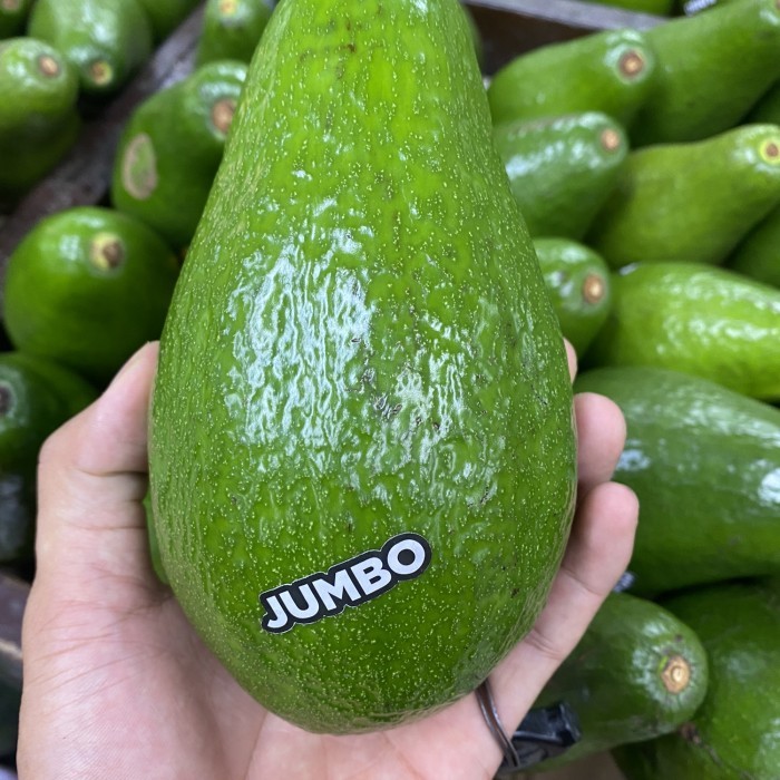 

Alpukat jumbo super | alpukat jumbo metega 1,3 kg