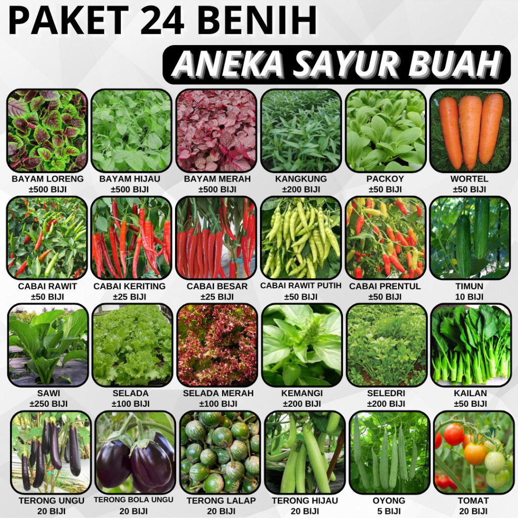 PAKET 24 BENIH ANEKA SAYUR BUAH BISA HIDROPONIK DAN KONVENSIONAL BAYAM MERAH HIJAU LORENG CABAI RAWI