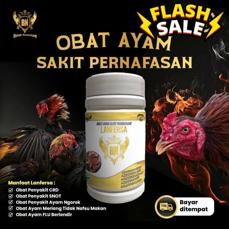 Hot obat herbal LANFERSA untuk menangani ayam  sakit ngorok snot flu dan crd