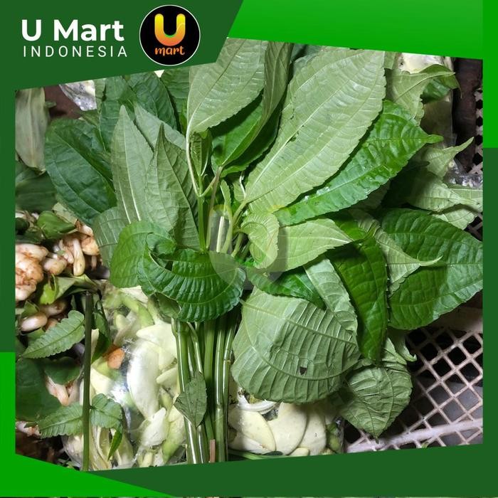 

U Mart - Daun Poh Pohan Segar 1 ikat